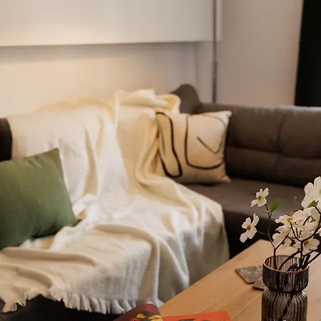 Downtown Cozy Flat * Soluň